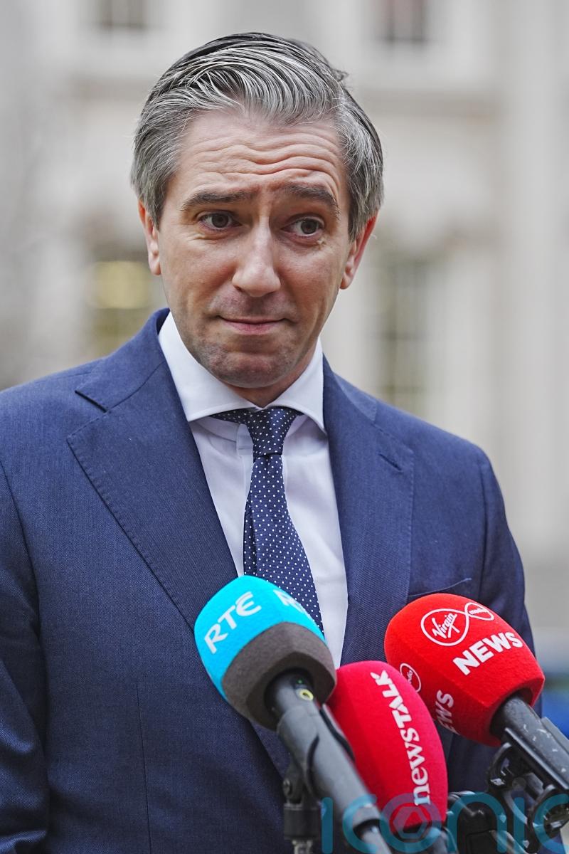 Tax cut possible if no economic shocks, Tanaiste says