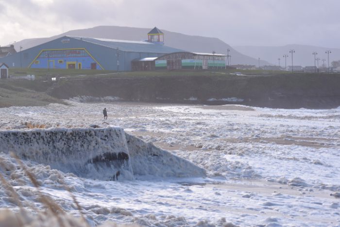 That Foam on the Beach Is (Probably) Fine - A Bay Nature Explainer