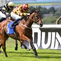 Oisin Orr  picked up three winners at Redcar Picture: Alan Wright